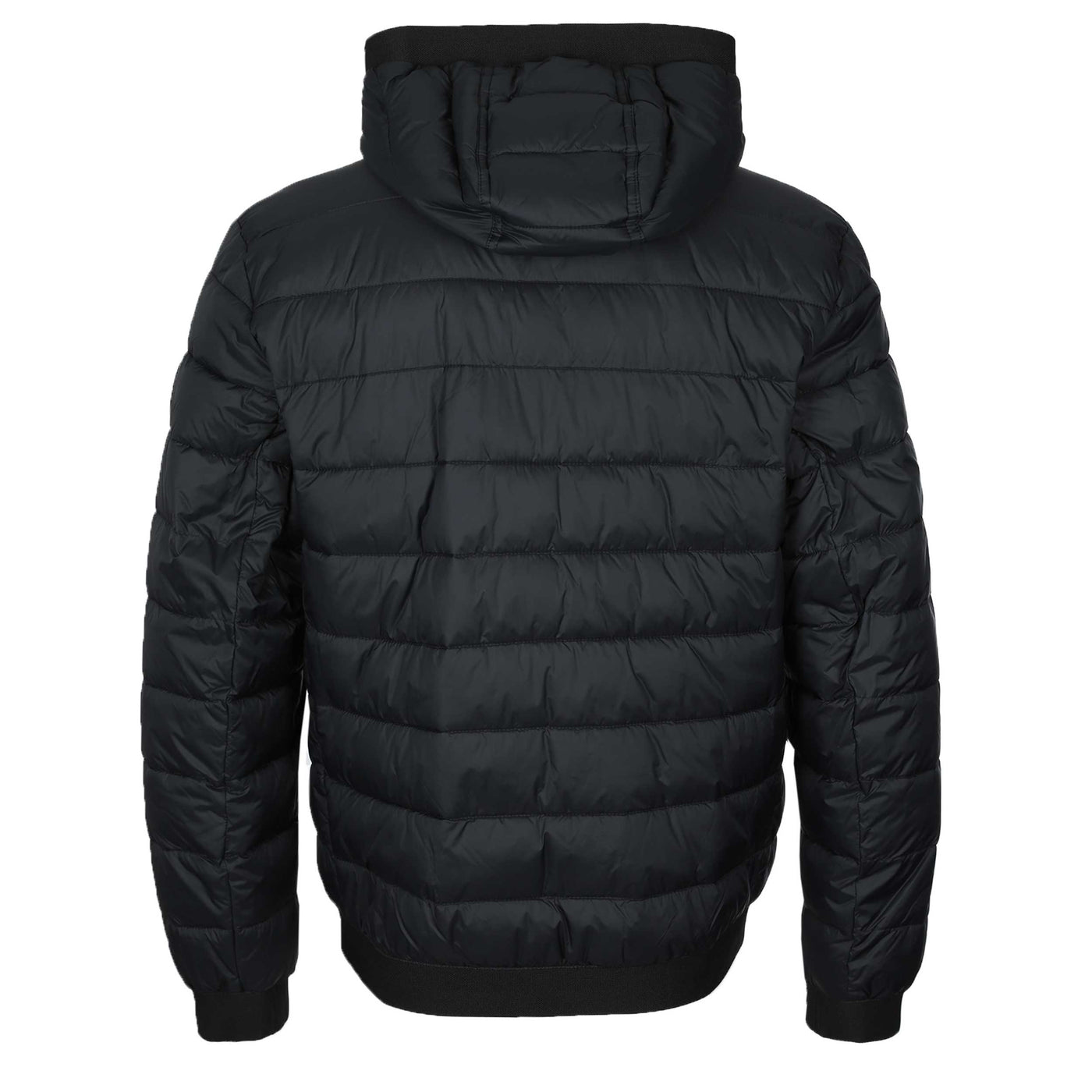 BOSS Odenis Jacket in Black Back