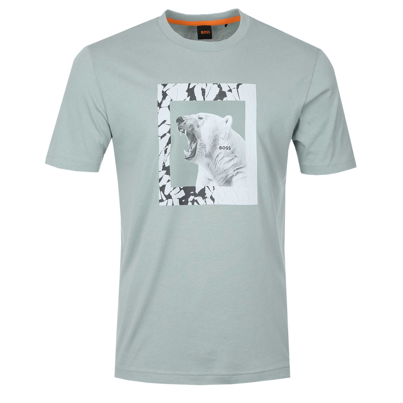 BOSS TE Lupo in Sage Green