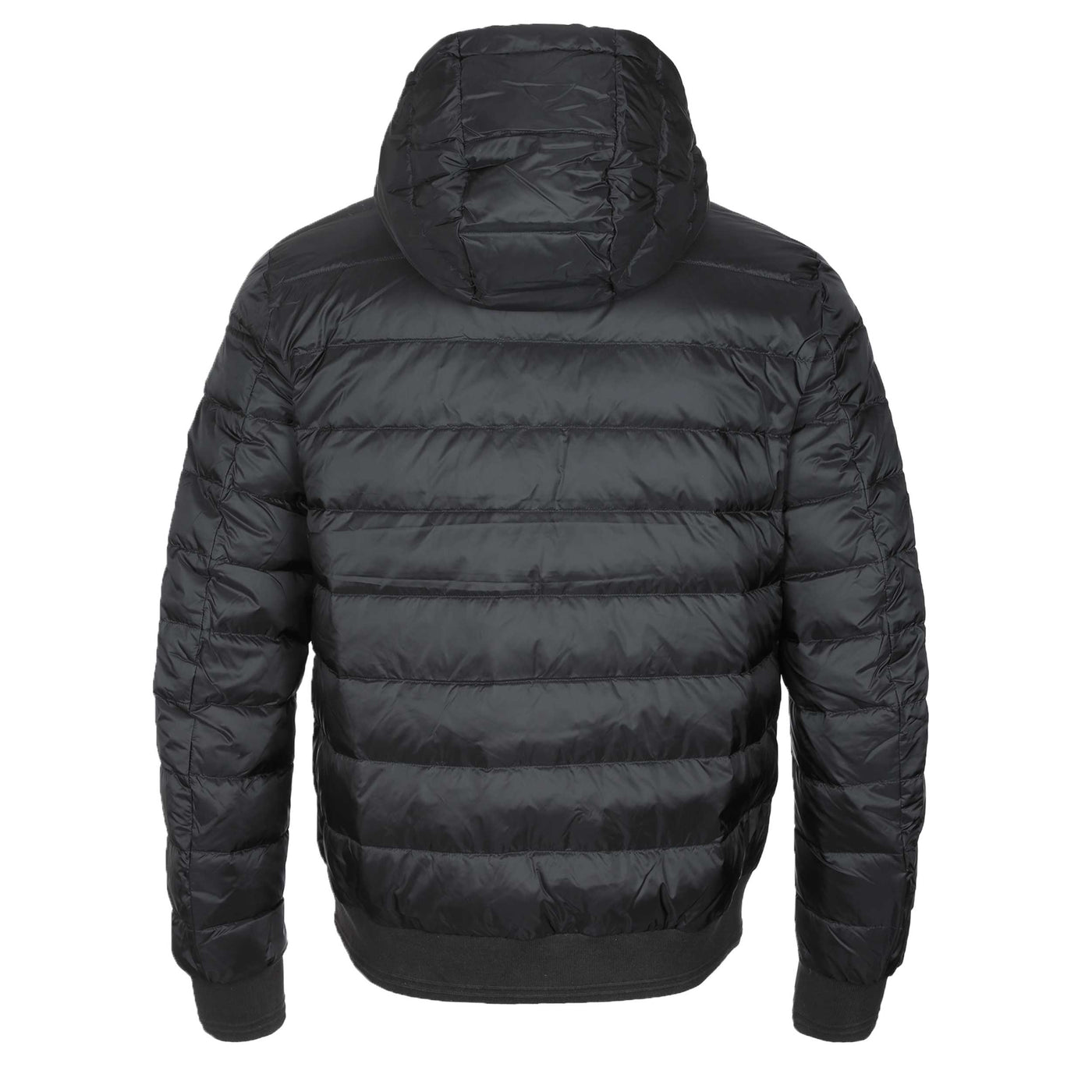 Belstaff Control Jacket in Black Back