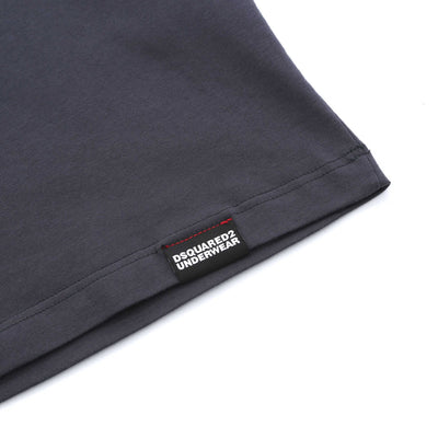 Dsquared2 Stand Out DSQ Logo T Shirt in Anthracite Logo Tab