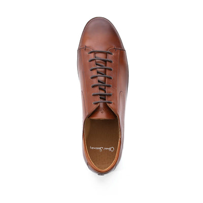 Oliver Sweeney Sirolo Trainer in Dark Tan Birdseye